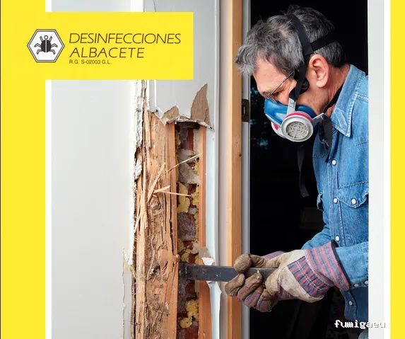 Desinfecciones Albacete
