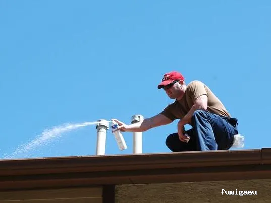 GSM Gabinete Sanidad Medioambiental