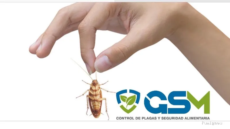 GSM Gabinete Sanidad Medioambiental