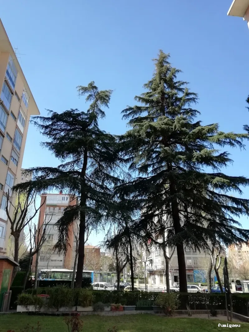 Aplisa Control Plagas y Palomas