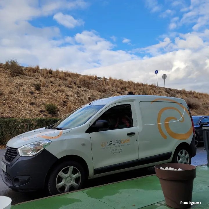 Grupo GAM