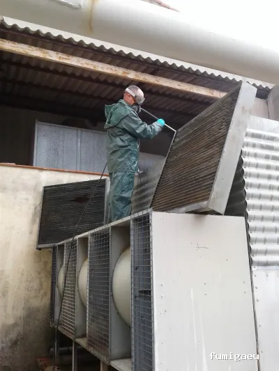 Sadi - Control de Plagas En Ciudad Real