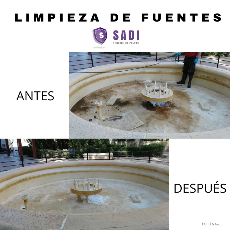 Sadi - Control de Plagas En Ciudad Real