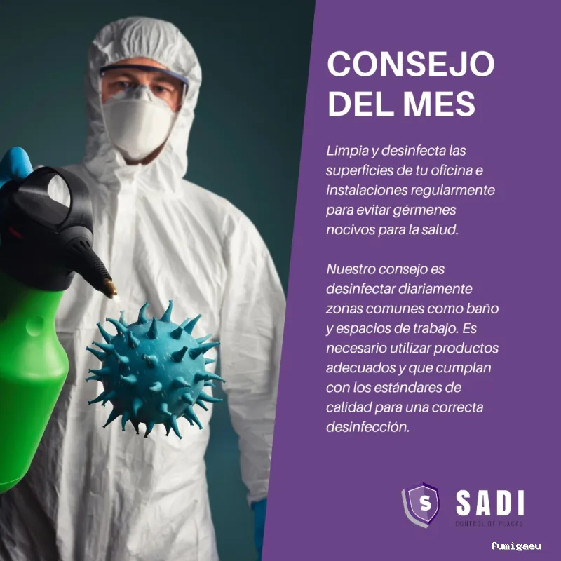 Sadi - Control de Plagas En Ciudad Real