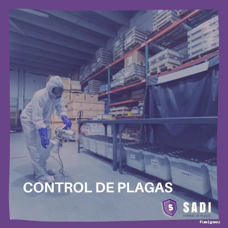 Sadi - Control de Plagas En Ciudad Real