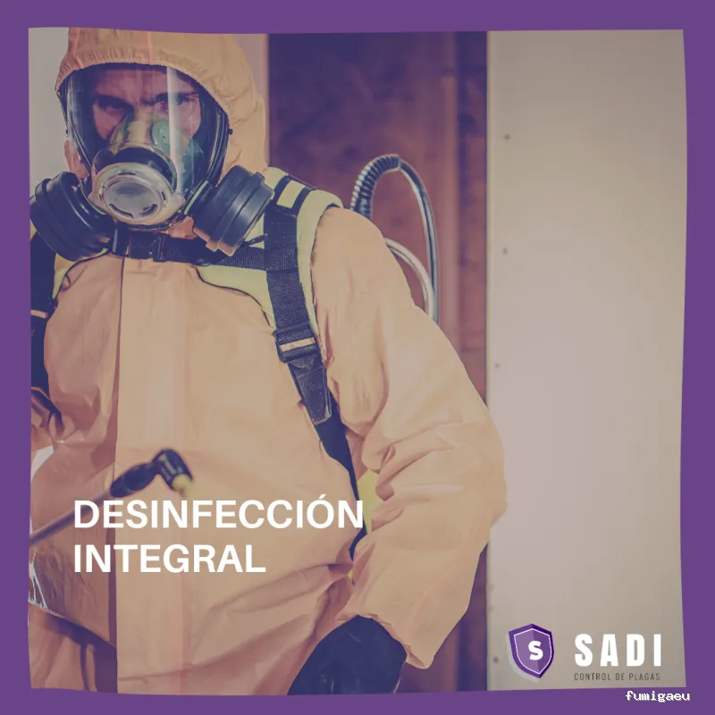 Sadi - Control de Plagas En Ciudad Real