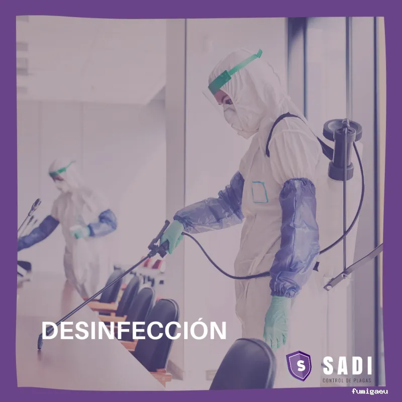 Sadi - Control de Plagas En Ciudad Real