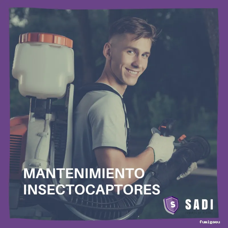 Sadi - Control de Plagas En Ciudad Real