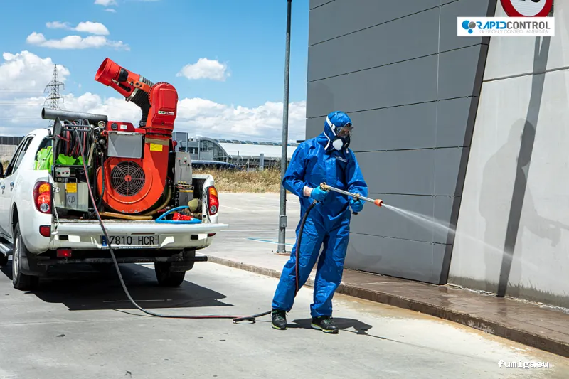 Rapid Control Desinfección S.L. - Control de Plagas y Fumigación Madrid.
