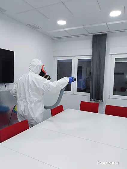 Control de plagas ALICANTE - ECOPLAGAS