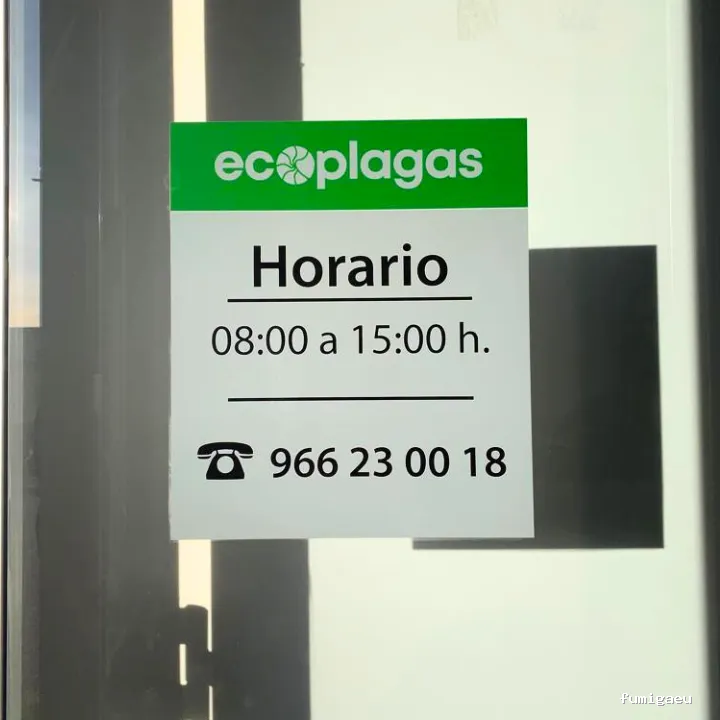 Control de plagas ALICANTE - ECOPLAGAS