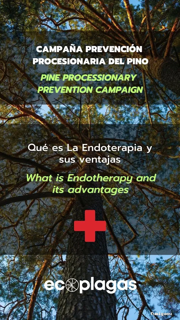 Control de plagas ALICANTE - ECOPLAGAS