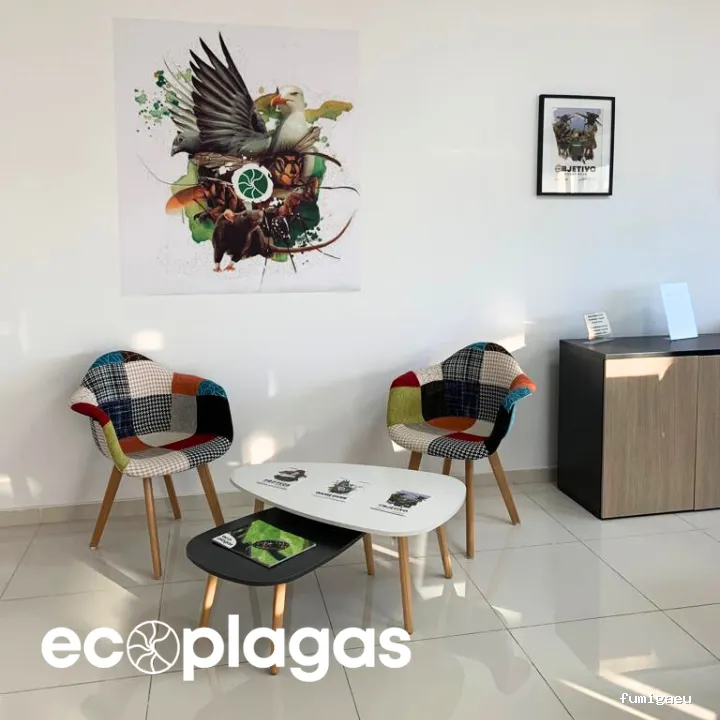 Control de plagas ALICANTE - ECOPLAGAS