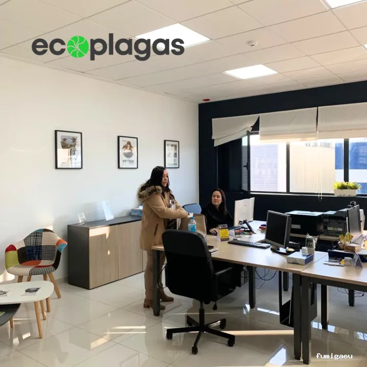 Control de plagas ALICANTE - ECOPLAGAS