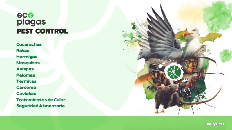 Control de plagas ALICANTE - ECOPLAGAS