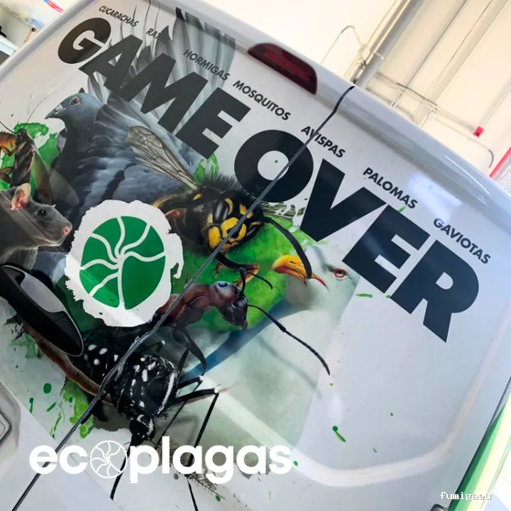 Control de plagas ALICANTE - ECOPLAGAS