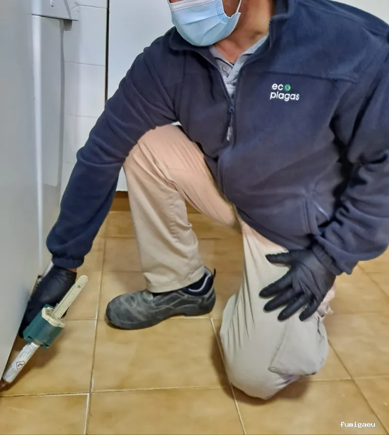 Control de plagas ALICANTE - ECOPLAGAS
