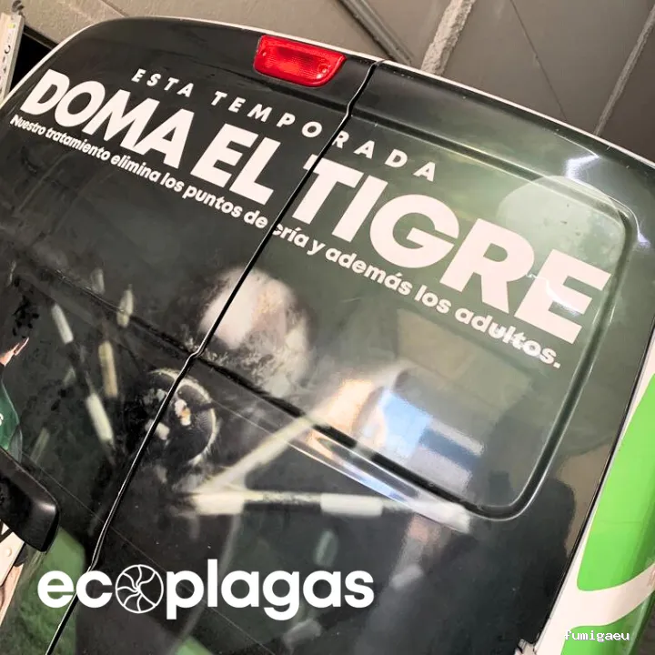 Control de plagas ALICANTE - ECOPLAGAS