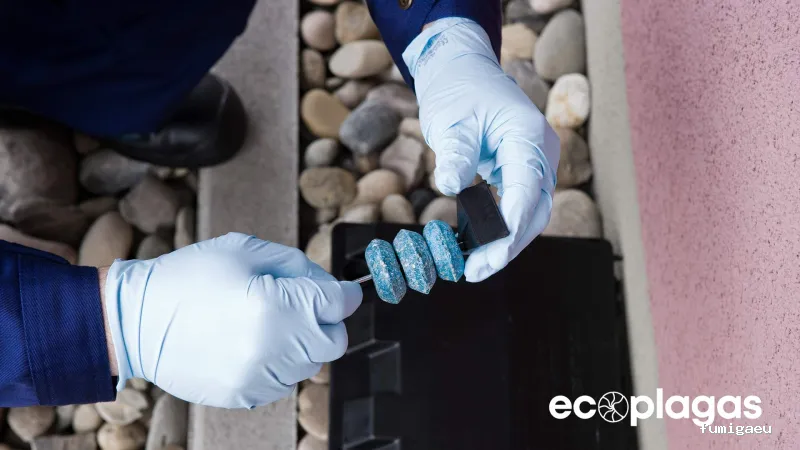 Control de plagas ALICANTE - ECOPLAGAS