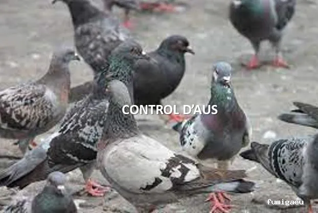 PlaguiSystem - Control de Plagues