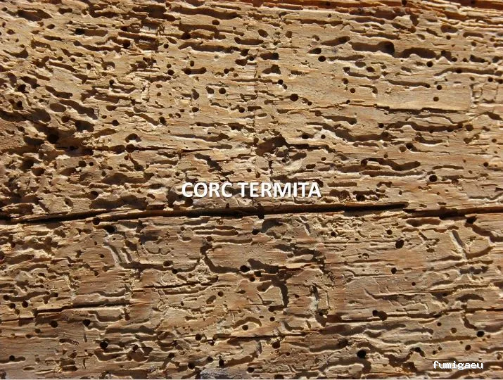 PlaguiSystem - Control de Plagues