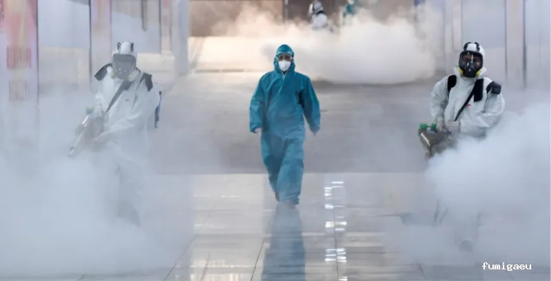 FUMIGAR PLAGAS SEVILLA