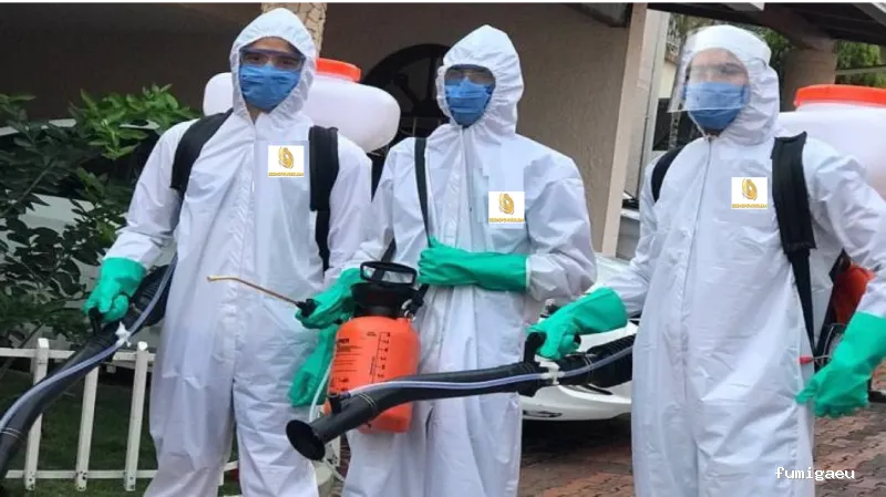 FUMIGAR PLAGAS SEVILLA