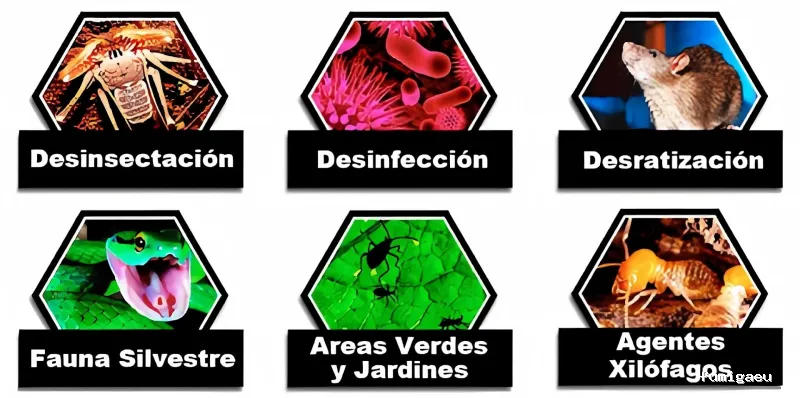 FUMIGAR PLAGAS SEVILLA