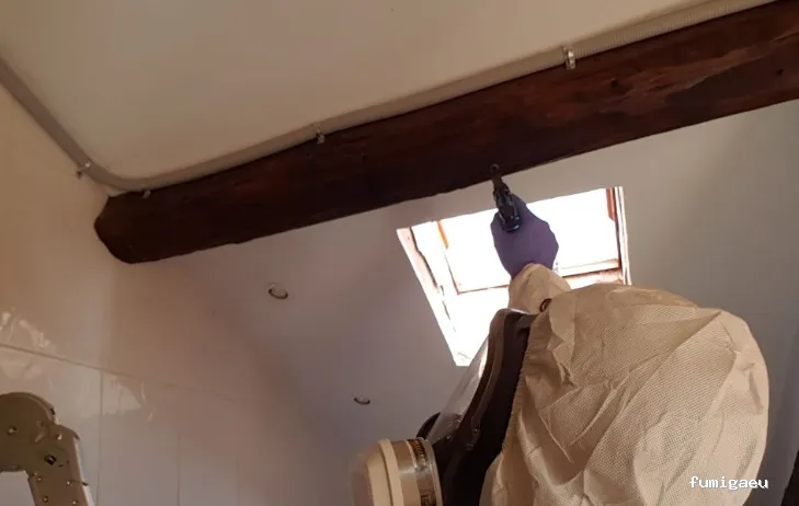 Ecoplagas Control Integrado