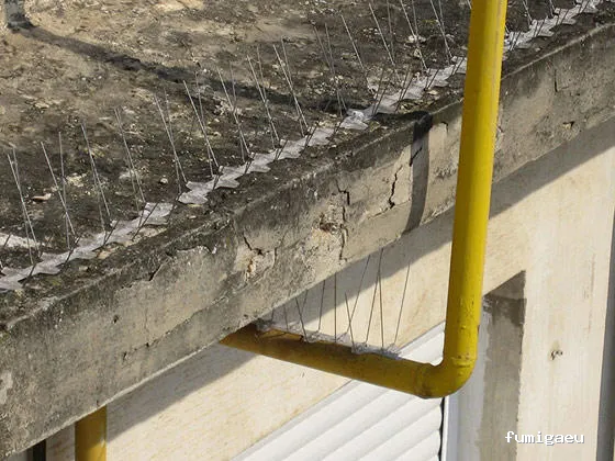 Ecoplagas Control Integrado