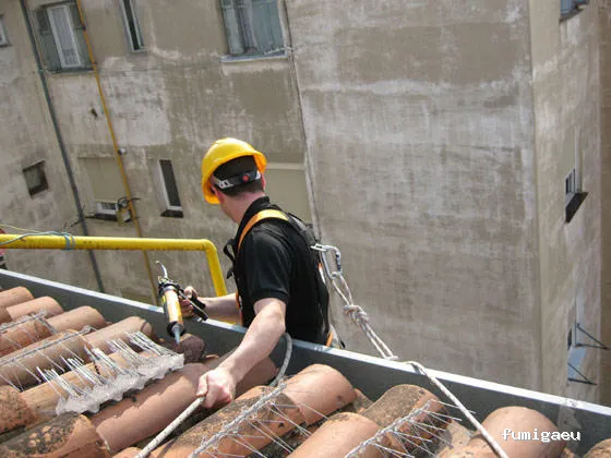 Ecoplagas Control Integrado