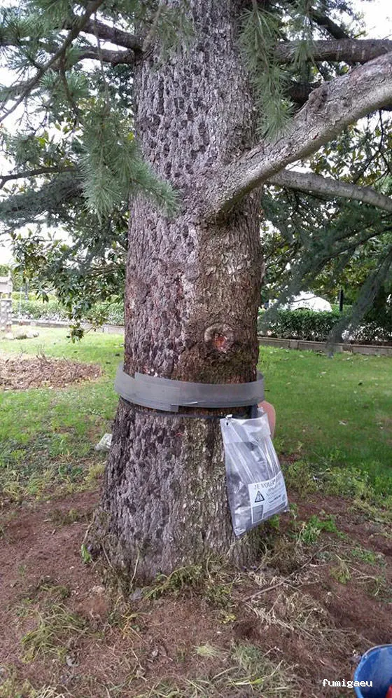 Ecoplagas Control Integrado