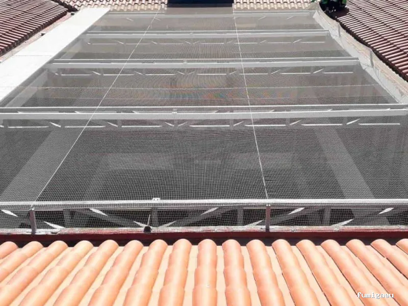 Hamelin Bioseguridad - Control de plagas Zaragoza