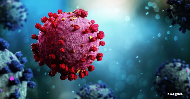 Hamelin Bioseguridad - Control de plagas Zaragoza