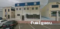 Grupo SEDESA