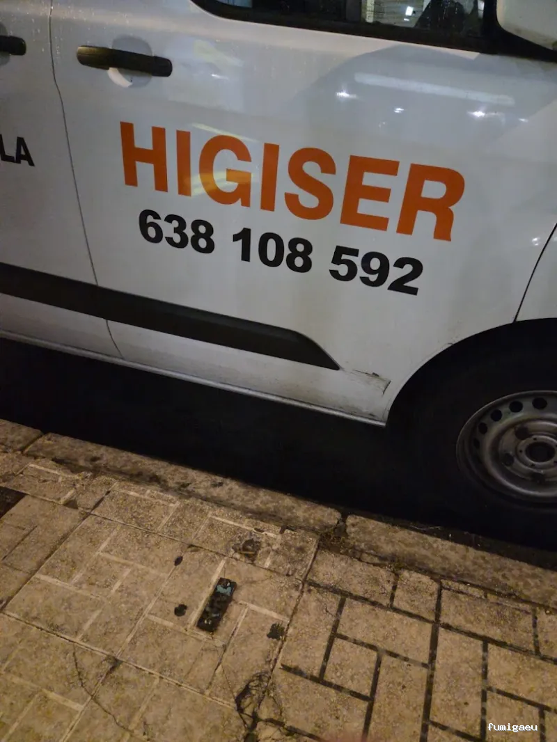 Higiser