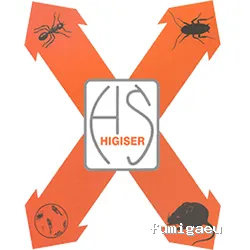 Higiser