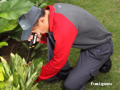 Rentokil Control de plagas en A Coruña