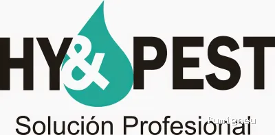 HY & PEST Solución Profesional