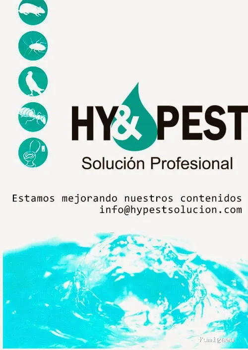 HY & PEST Solución Profesional