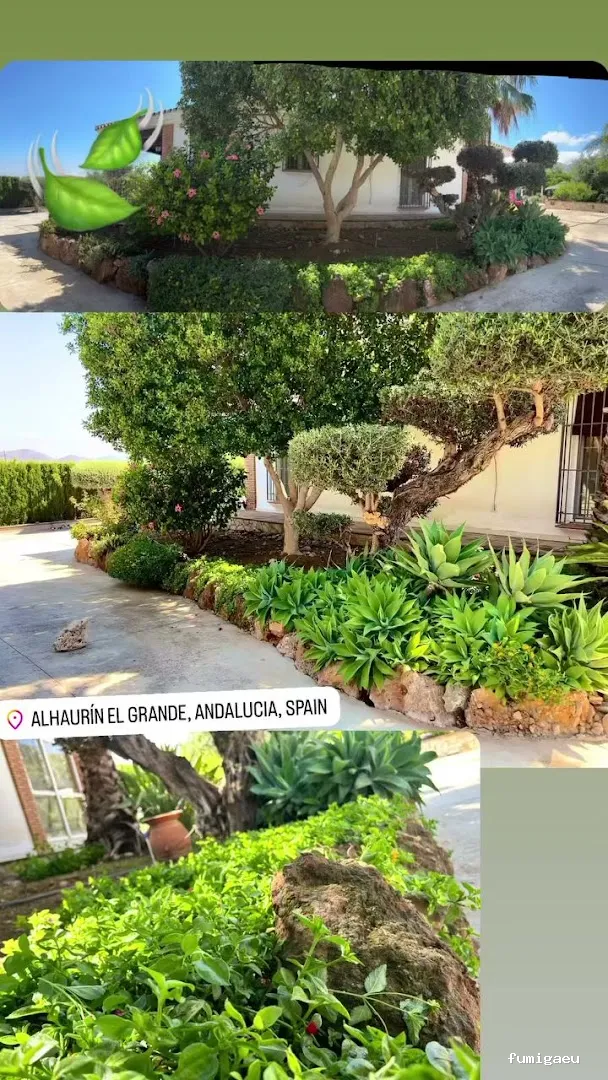 Jardinero y mantenimiento en la Costa del Sol🌴 THE GARDEN BOY – Poda de palmeras, arboles y sistemas de riego