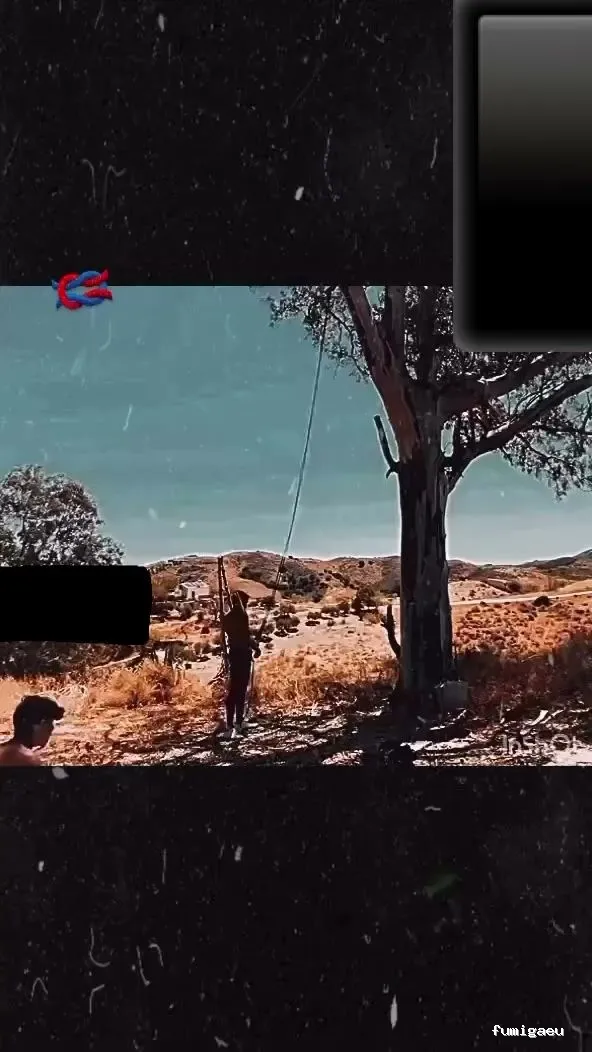 Jardinero y mantenimiento en la Costa del Sol🌴 THE GARDEN BOY – Poda de palmeras, arboles y sistemas de riego