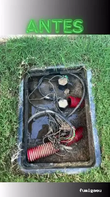 Jardinero y mantenimiento en la Costa del Sol🌴 THE GARDEN BOY – Poda de palmeras, arboles y sistemas de riego