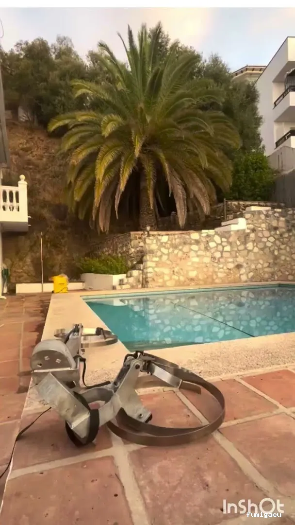 Jardinero y mantenimiento en la Costa del Sol🌴 THE GARDEN BOY – Poda de palmeras, arboles y sistemas de riego