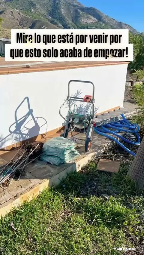 Jardinero y mantenimiento en la Costa del Sol🌴 THE GARDEN BOY – Poda de palmeras, arboles y sistemas de riego