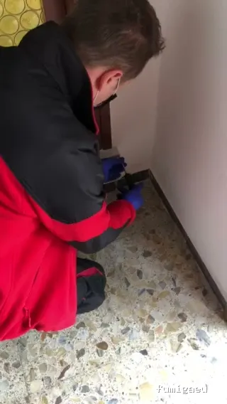 Desinfecciones Cimax /Empresa Control de Plagas Barcelona