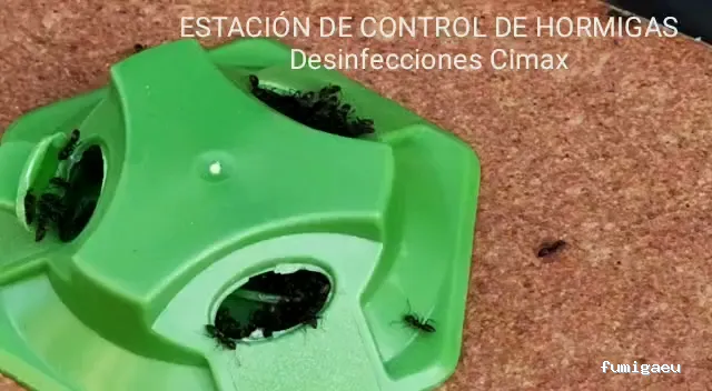 Desinfecciones Cimax /Empresa Control de Plagas Barcelona