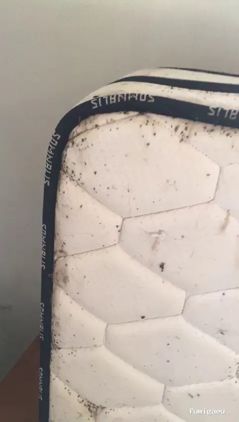 Desinfecciones Cimax /Empresa Control de Plagas Barcelona