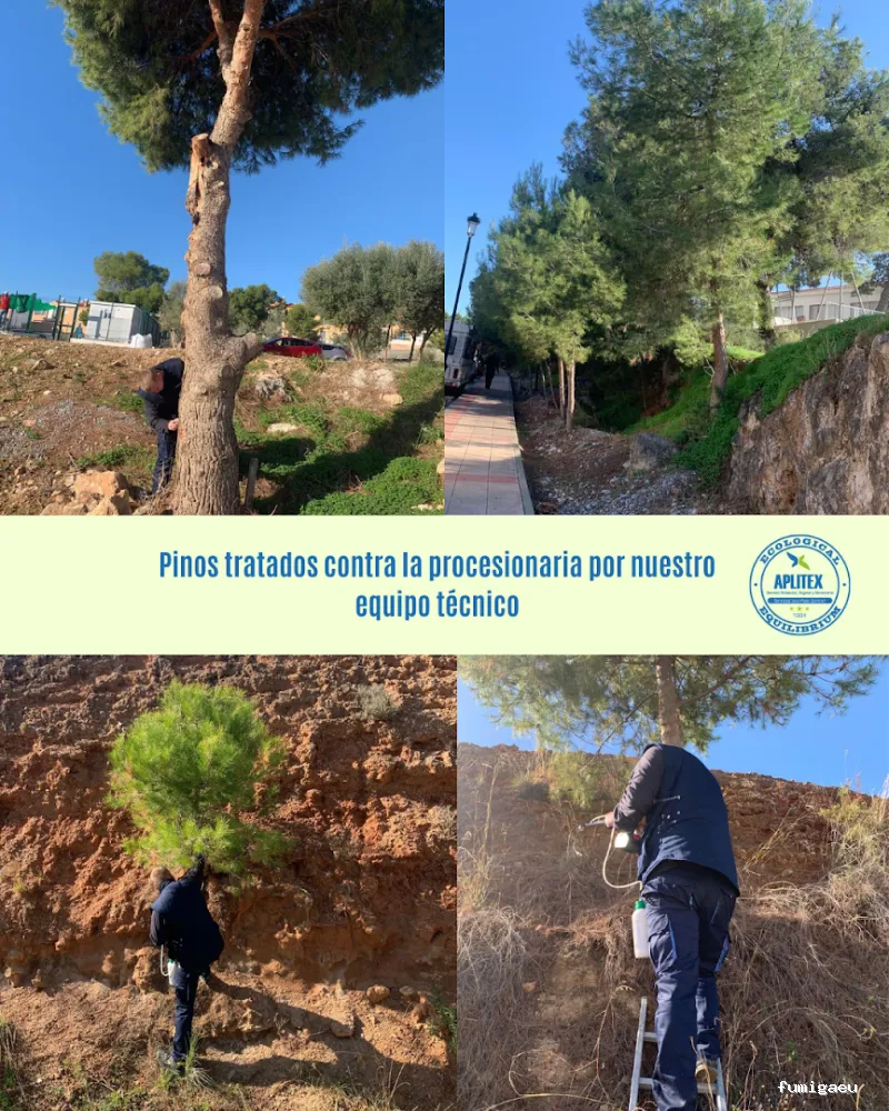 Aplitex Fumigación Nerja