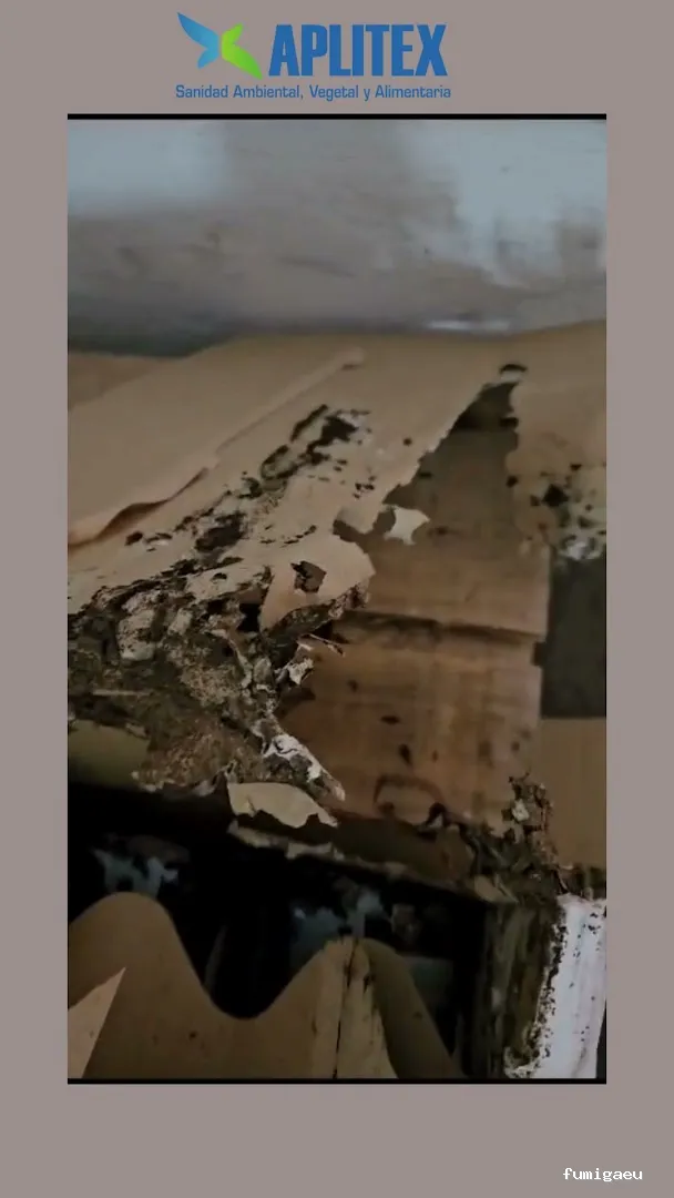 Aplitex Fumigación Nerja